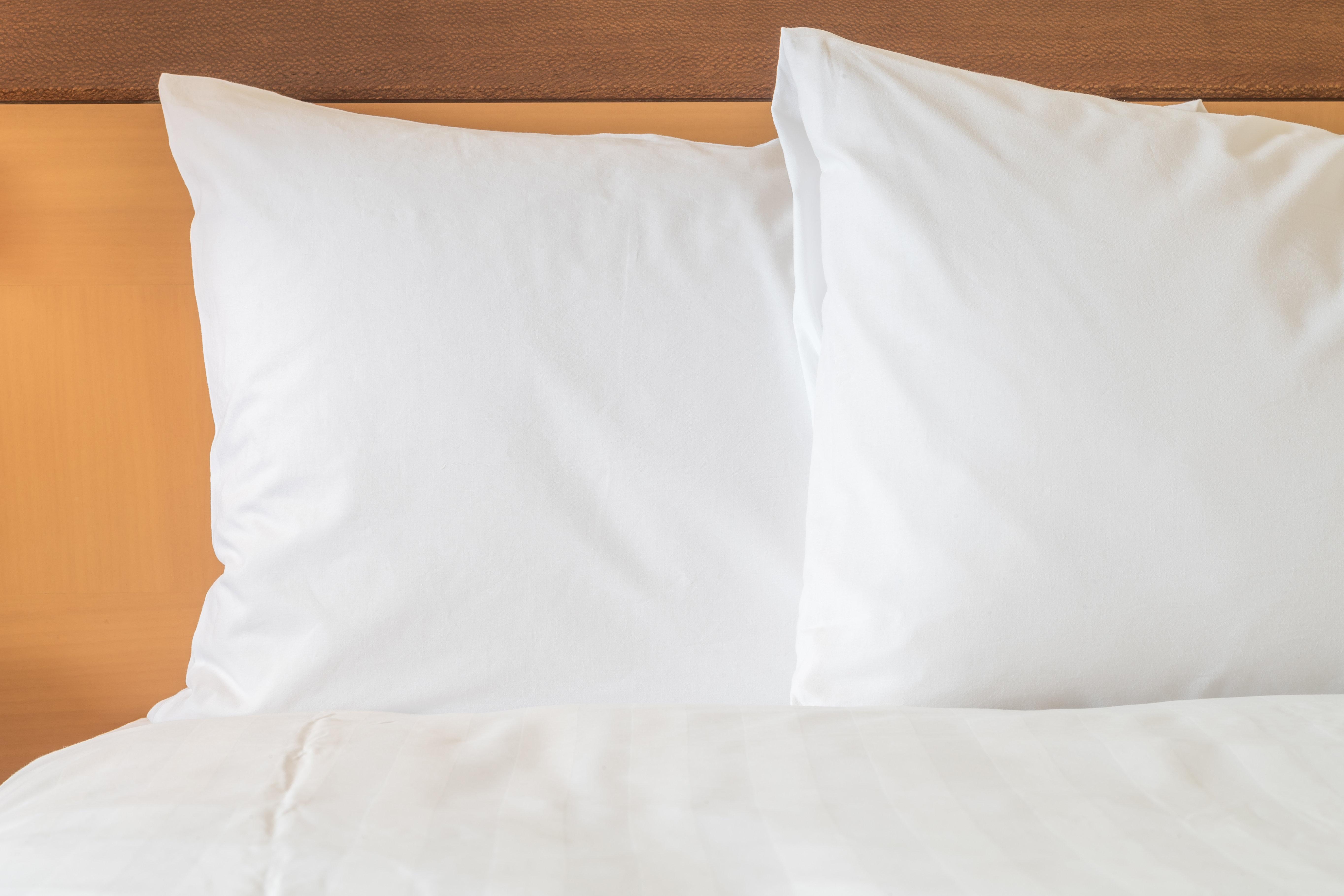 Holiday Inn Express Tampa-Brandon By Ihg Extérieur photo